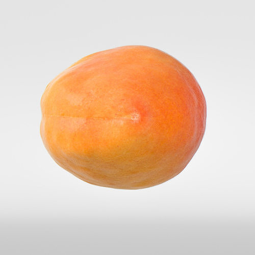 Apricot 3D model 7