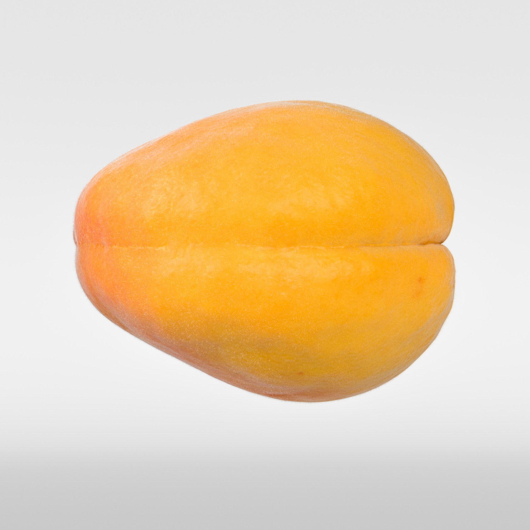 Apricot 3D model_7