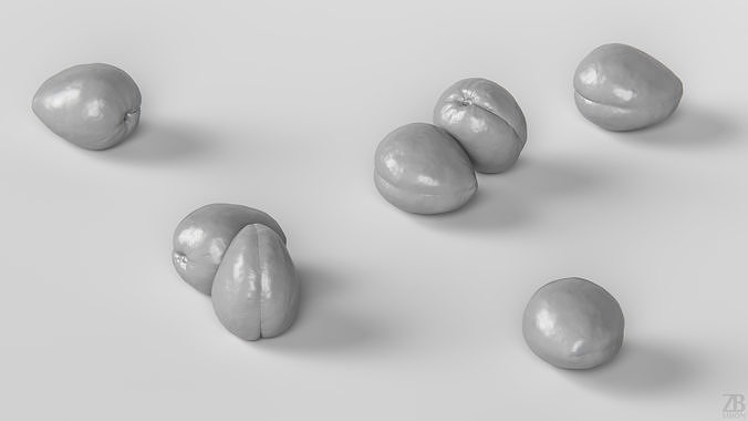 Apricot 3D model 4