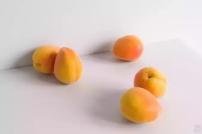 Apricot 3D model