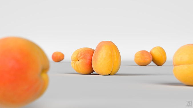 Apricot 3D model 2