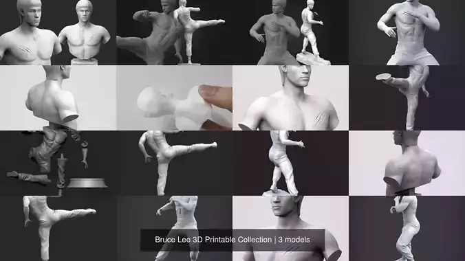 Bruce Lee 3D Printable Collection