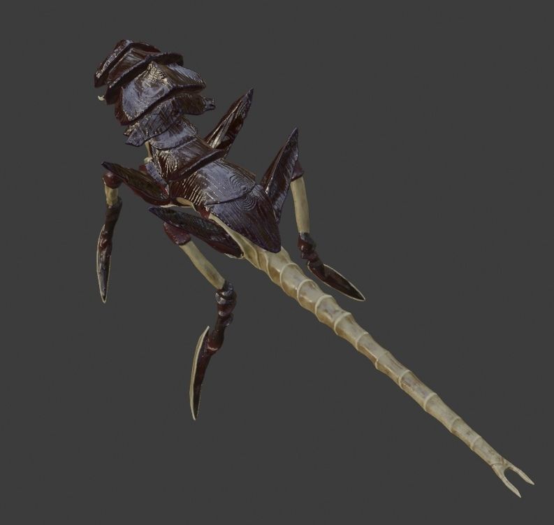Creature bug with long legs Low-poly 3D model_2