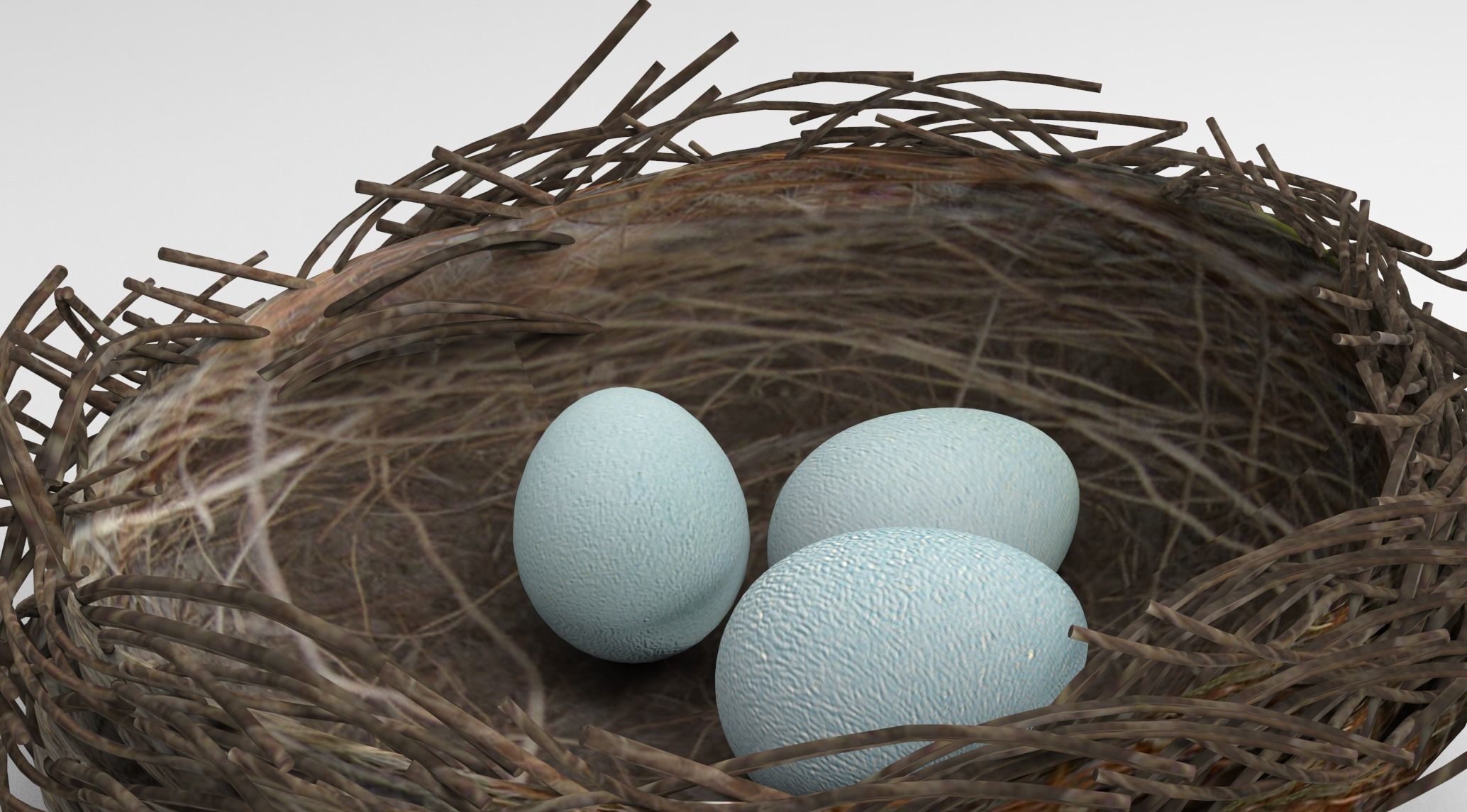 Bird Nest 3D Unity Low-poly 3D model_3