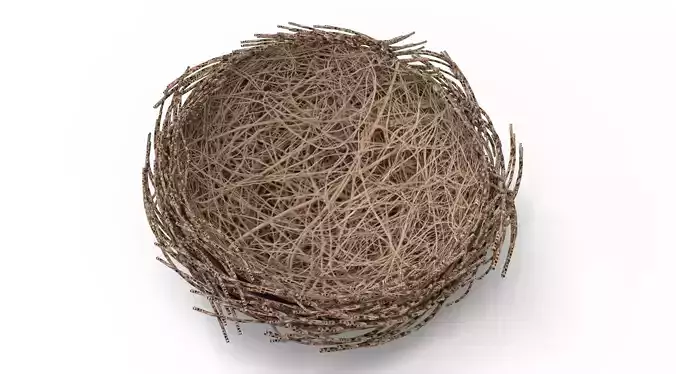 Bird Nest  Realistic Low-poly 3D model