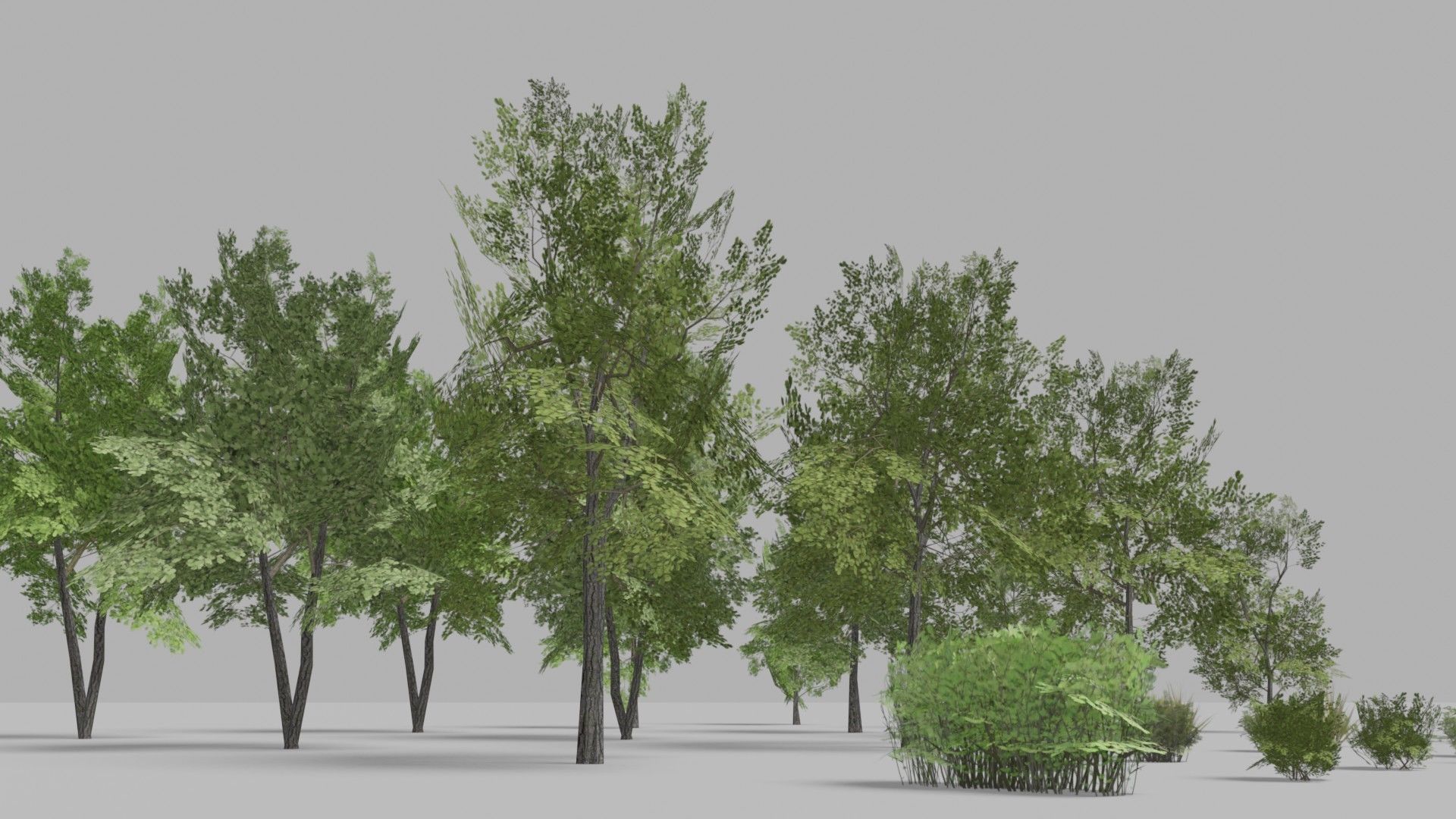 Shapespark low poly exterior plants kit - Free low-poly 3D model_5