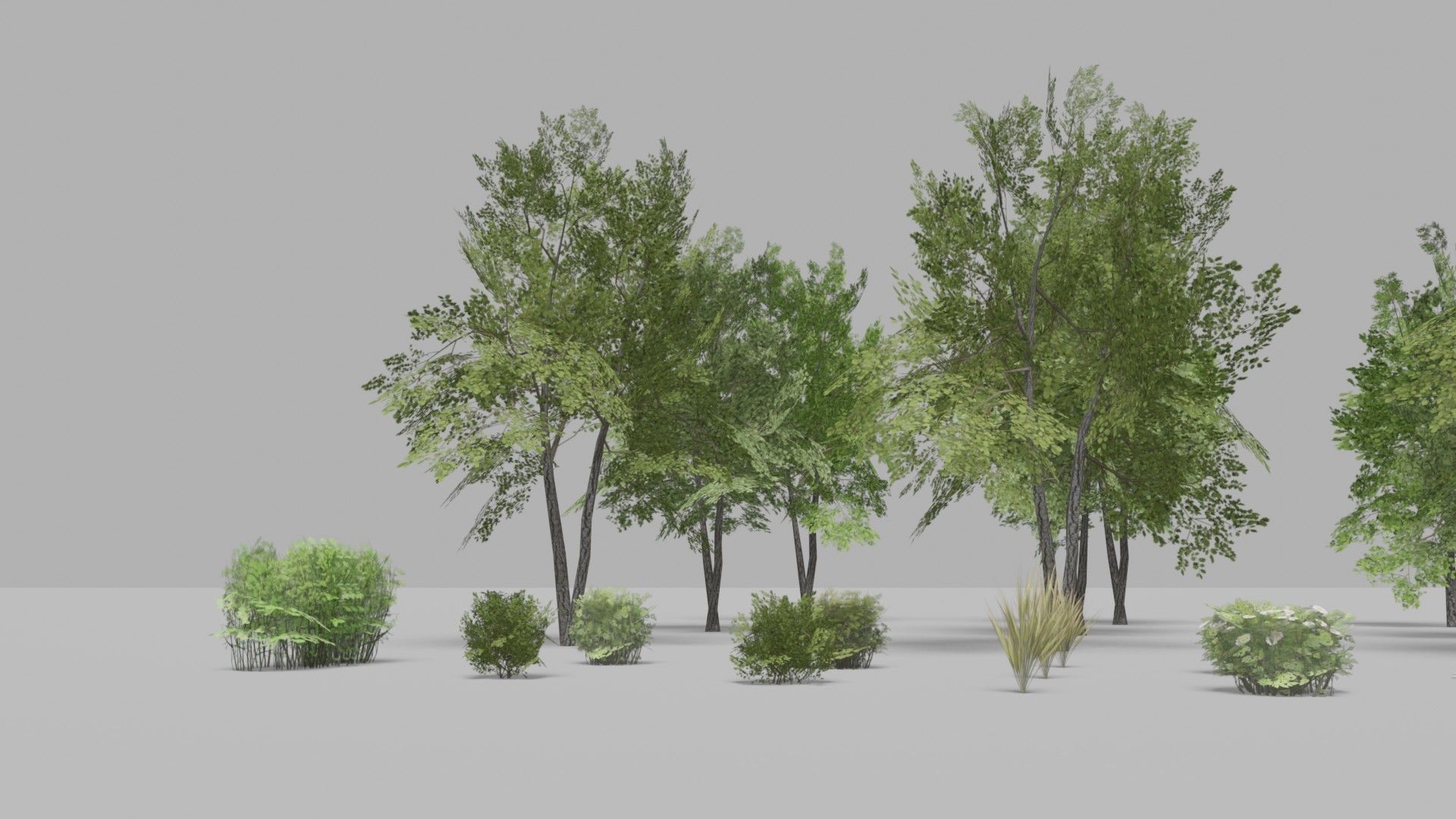 Shapespark low poly exterior plants kit - Free low-poly 3D model_4