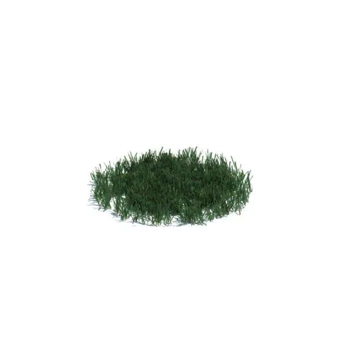 Green Grass Patch 3D model_0