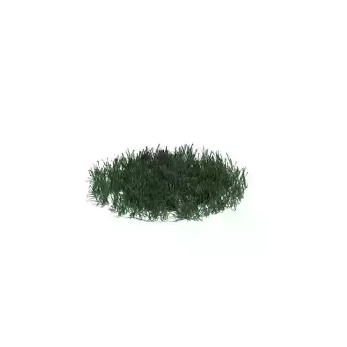 Green Grass Patch 3D model