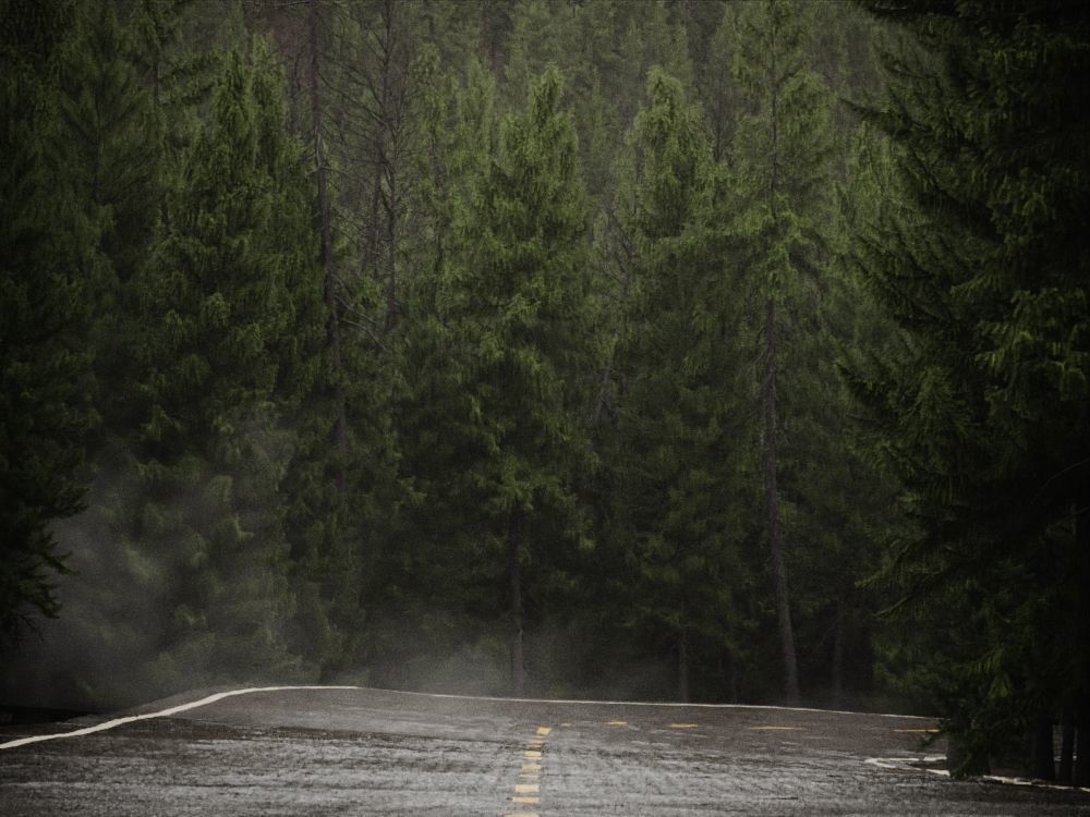 HeliosEnvironment vol13 Fog Decals  Texture_7