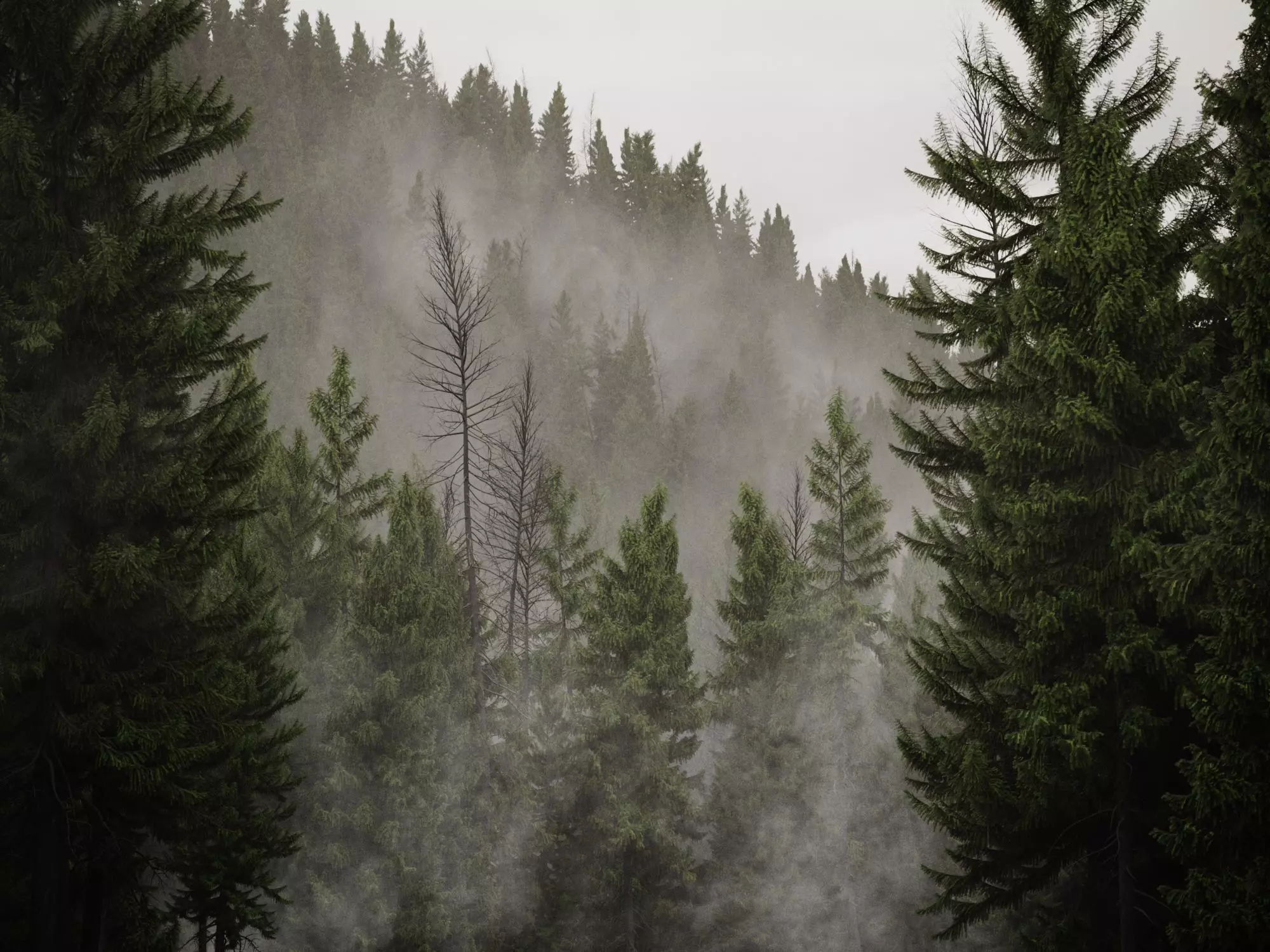 HeliosEnvironment vol13 Fog Decals  Texture_0