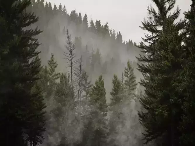 HeliosEnvironment vol13 Fog Decals  Texture