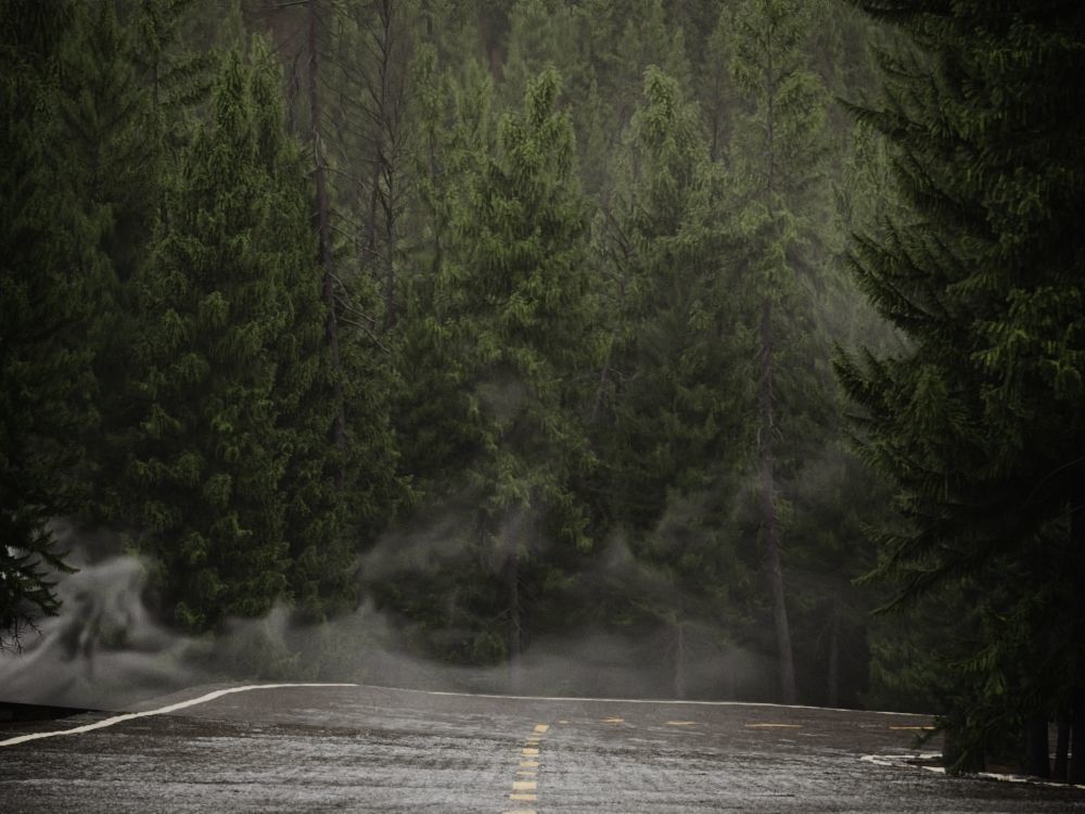 HeliosEnvironment vol13 Fog Decals  Texture_9