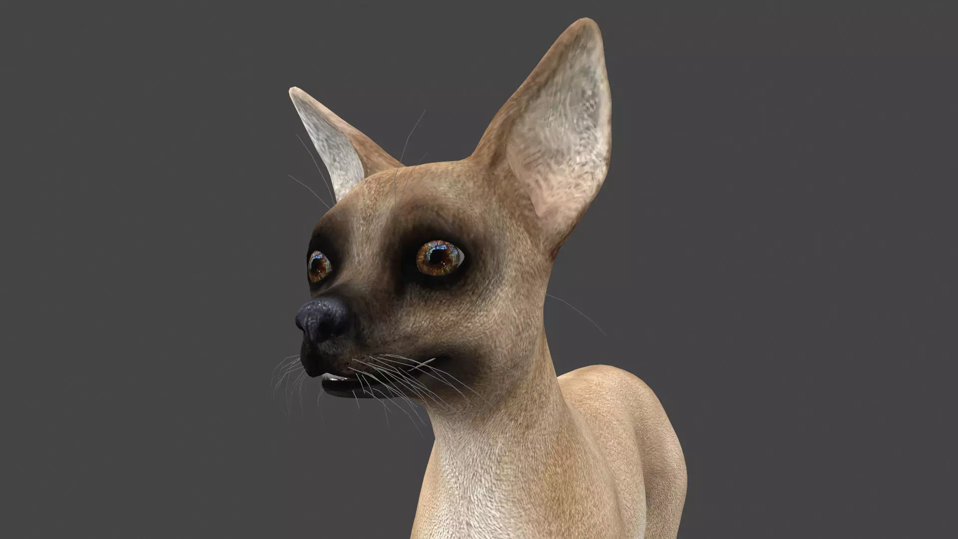 FDCW-003 Walking Animation 3D model