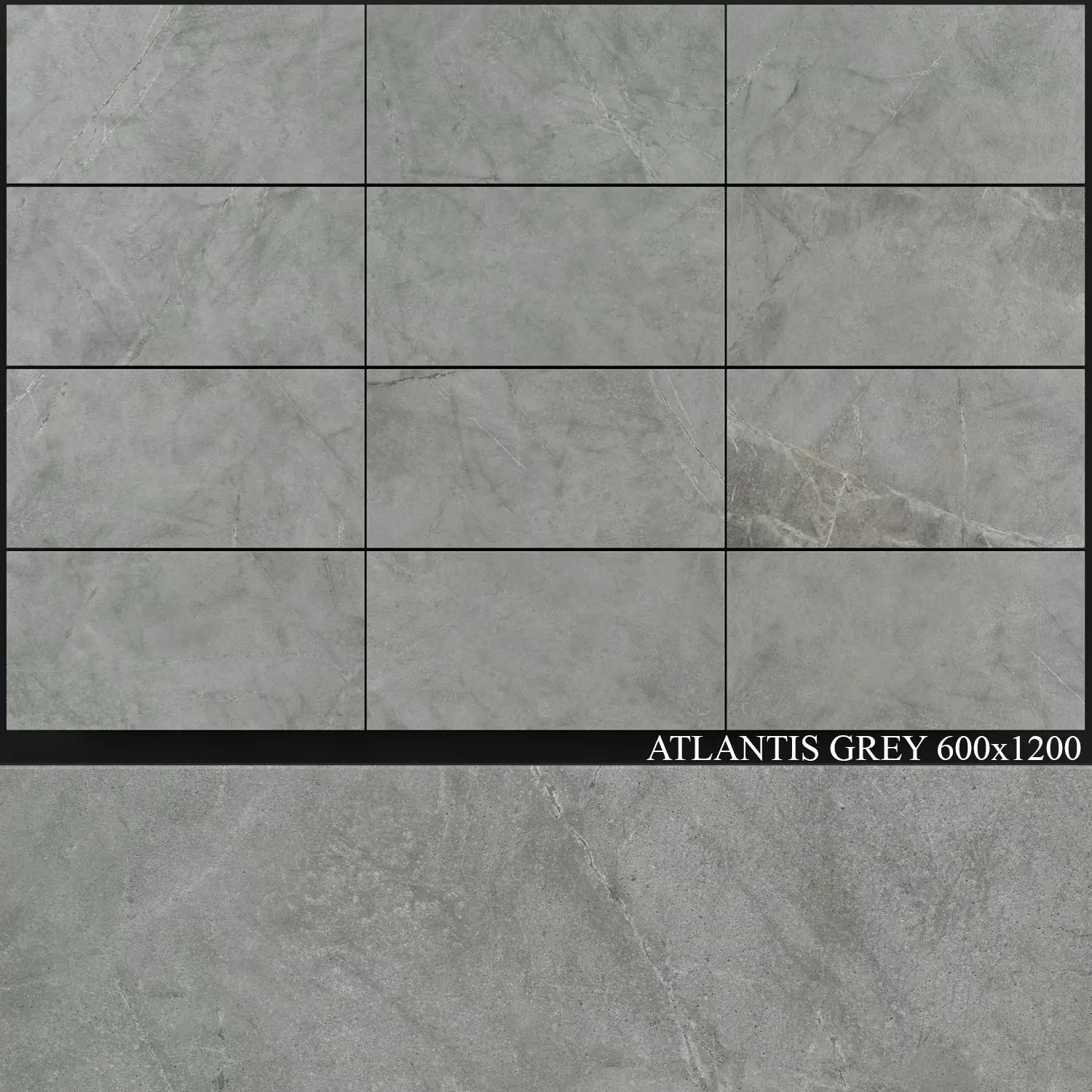 ABK Atlantis Grey 600x1200 3D model_0