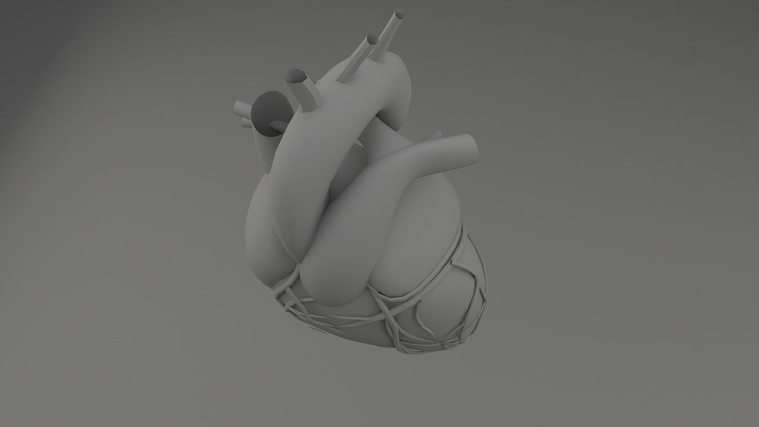 Human Heart Low-poly 3D model_8