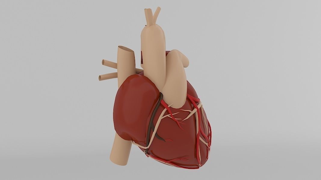 Human Heart Low-poly 3D model_3