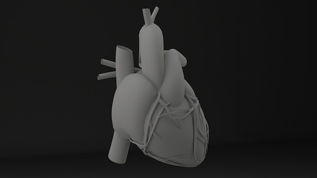 Human Heart Low-poly 3D model_4