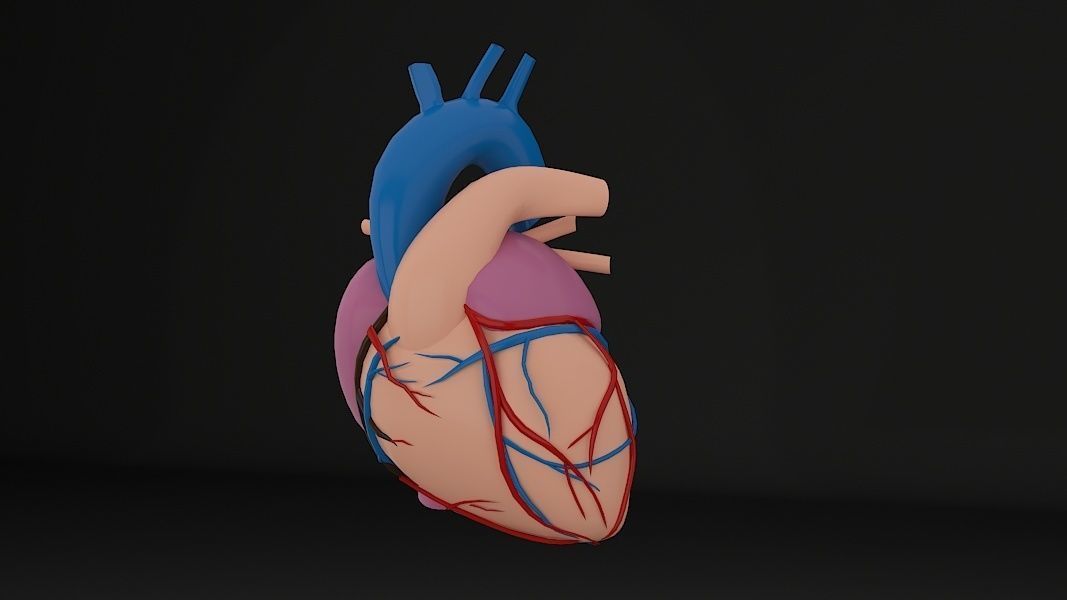 Human Heart Low-poly 3D model_1