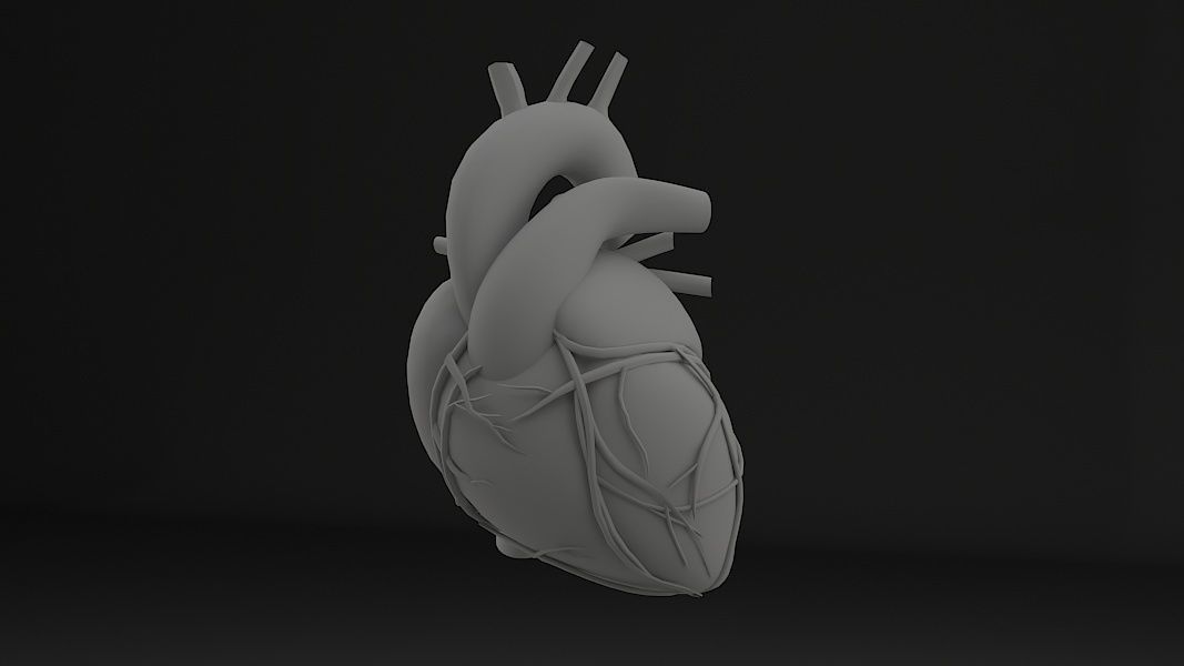 Human Heart Low-poly 3D model_2