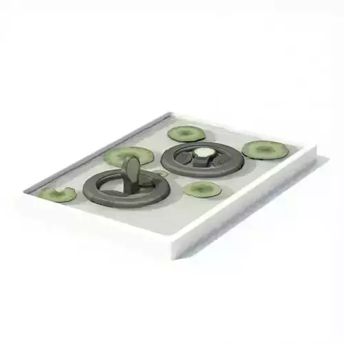 Modern Garden Reflecting Pond With Lilypads 3D model