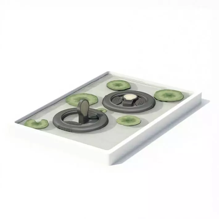 Modern Garden Reflecting Pond With Lilypads 3D model_0