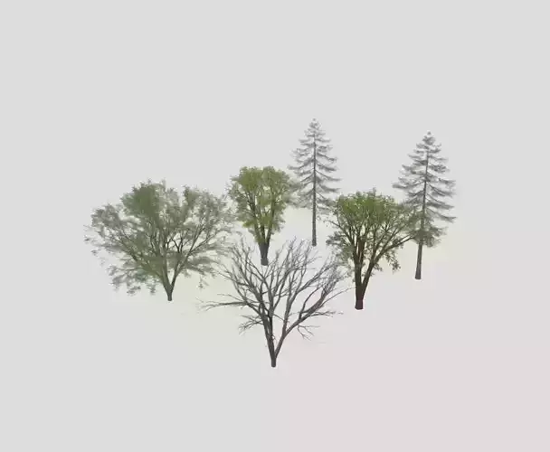 6-tree models set 3D model