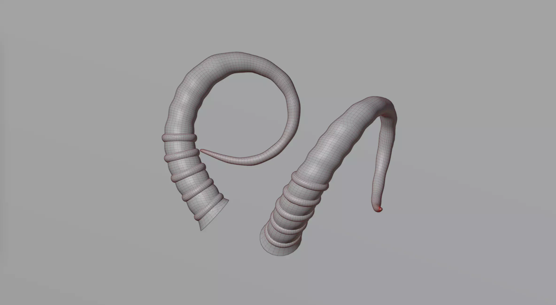 Horns 2 3D model_0