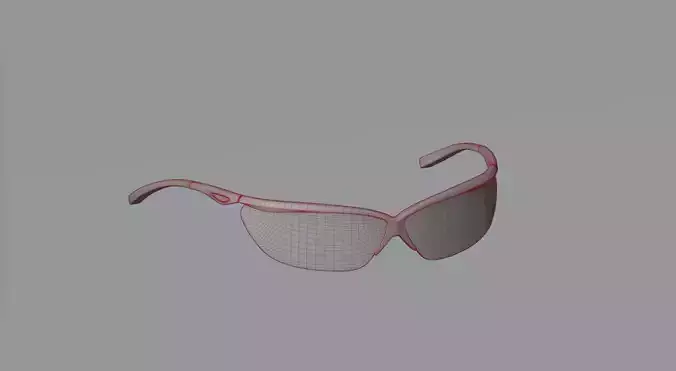 Sunglasses 43