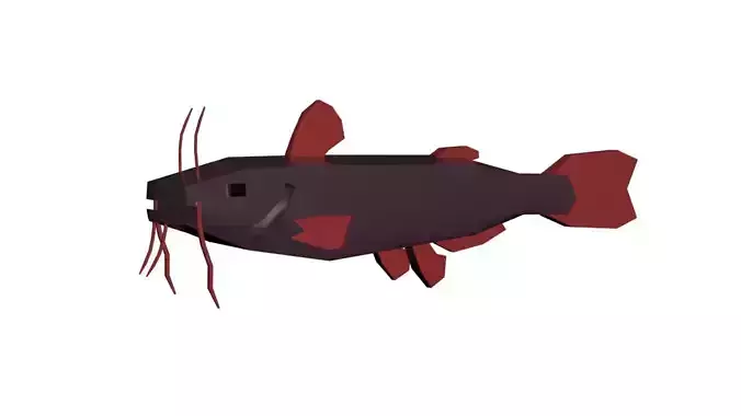 Catfish model - generic species