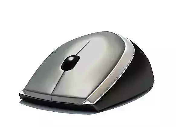 Computer Mouse