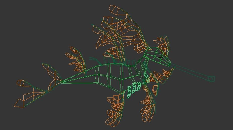 Leafy Sea Dragon model - generic species Low-poly 3D model_2