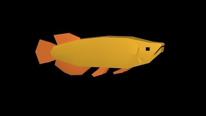 Fish model - Japanese Golden Arowana Low-poly 3D model