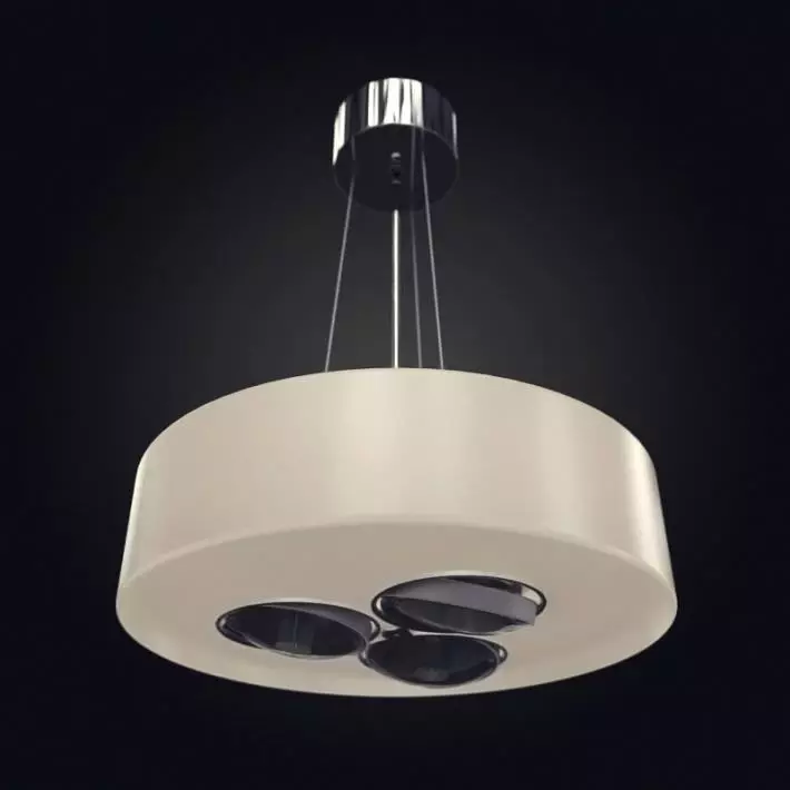 Ceiling Modern Lamp 3D model_0