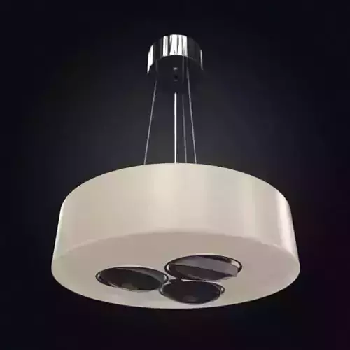 Ceiling Modern Lamp