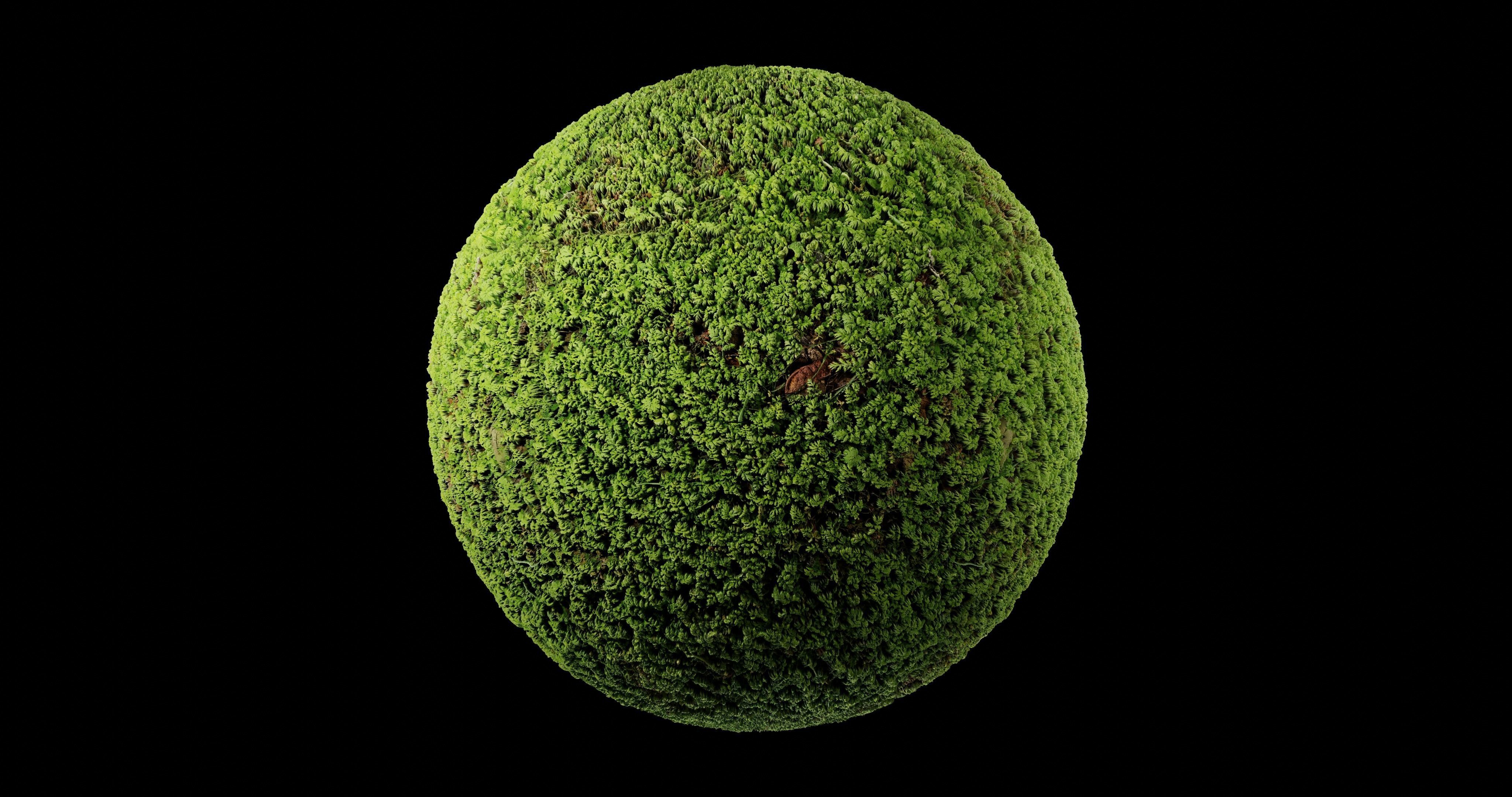 Low Vegetation 2 Texture_2