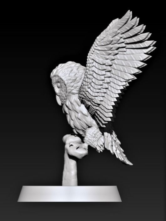 Barn Owl 3D print model_1