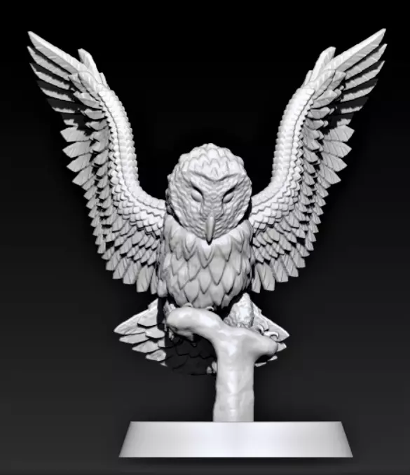 Barn Owl 3D print model_0