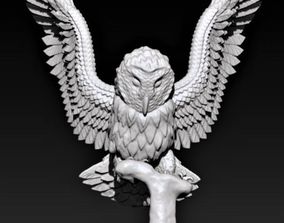 Barn owl 3D Print Models | CGTrader