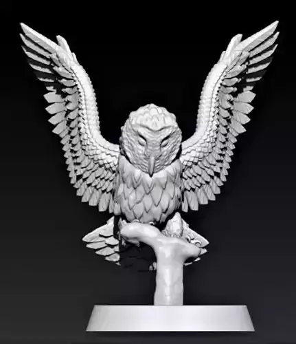 Barn Owl 3D print model