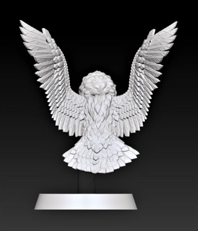 Barn Owl 3D print model_2