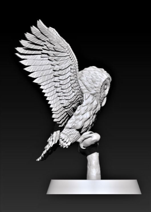 Barn Owl 3D print model_3