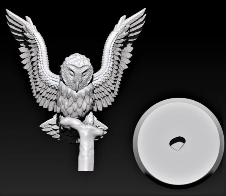Barn Owl 3D print model_5