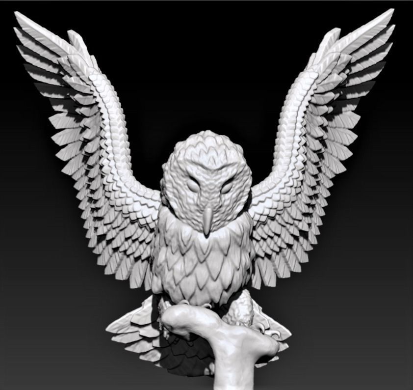 Barn Owl 3D print model_4
