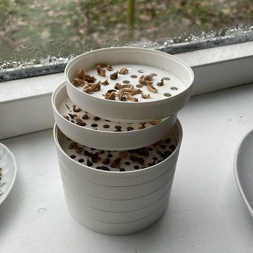 Plant Seed Sieve 3D print model