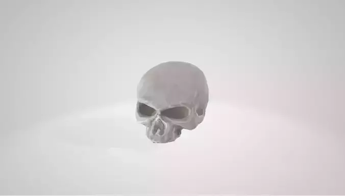 Stylized Skull