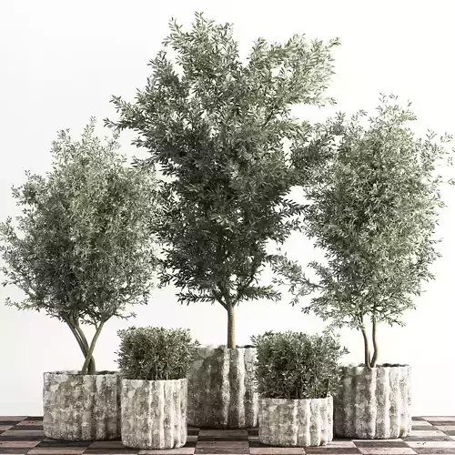 indoor plant stant 43 Low-poly 3D model