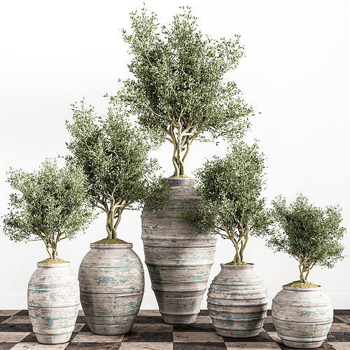 indoor plant stant 45 Low-poly 3D model