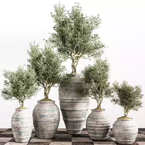 indoor plant stant 45 Low-poly 3D model