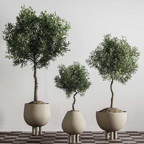 indoor plant stant 46 3D model